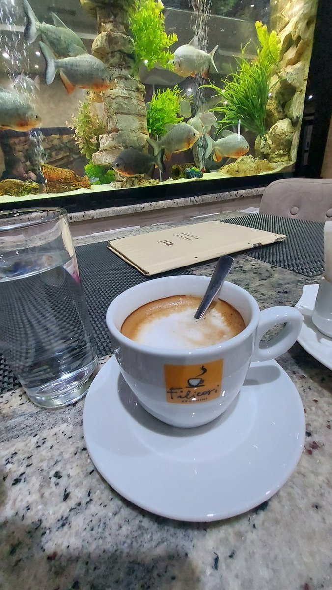 ivan_mirel2212's tweet photo. #opuštanje #kafa #jatotako https://t.co/uGKy4LKRYt