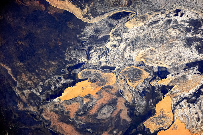 Oleg Artemyev tweet media