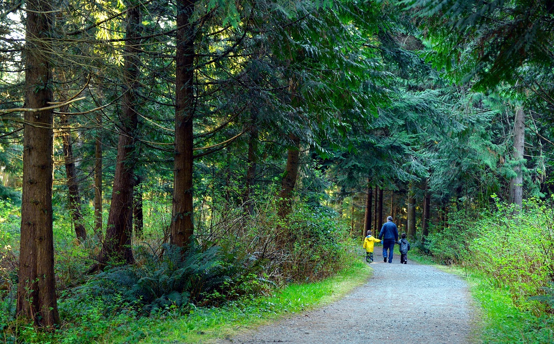 ParkBoard's tweet photo. Brockton Oval trails in #StanleyPark have reopened as there are no further reports of coyotes nipping joggers. Aggressive behaviour is often the result of animals being fed by people. Please do not approach or feed them. Report coyote sightings to 311 &amp; https://t.co/uj4UilN2qz https://t.co/WymePBb4P2