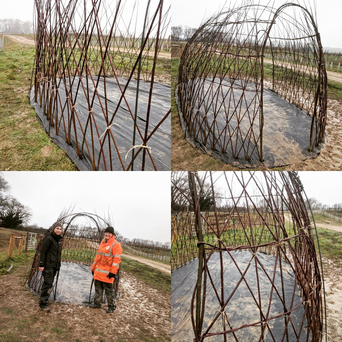 Schools without Walls (@schoolswowalls) on Twitter photo Great day finishing in the mud finishing up stage 1 of the living willow hide build for <a href="/OuseAdurRT/">Ouse & Adur Rivers Trust</a> with <a href="/HurstChico/">sandra hurst chico</a> Great day finishing in the mud finishing up stage 1 of the living willow hide build for <a href="/OuseAdurRT/">Ouse & Adur Rivers Trust</a> with <a href="/HurstChico/">sandra hurst chico</a>