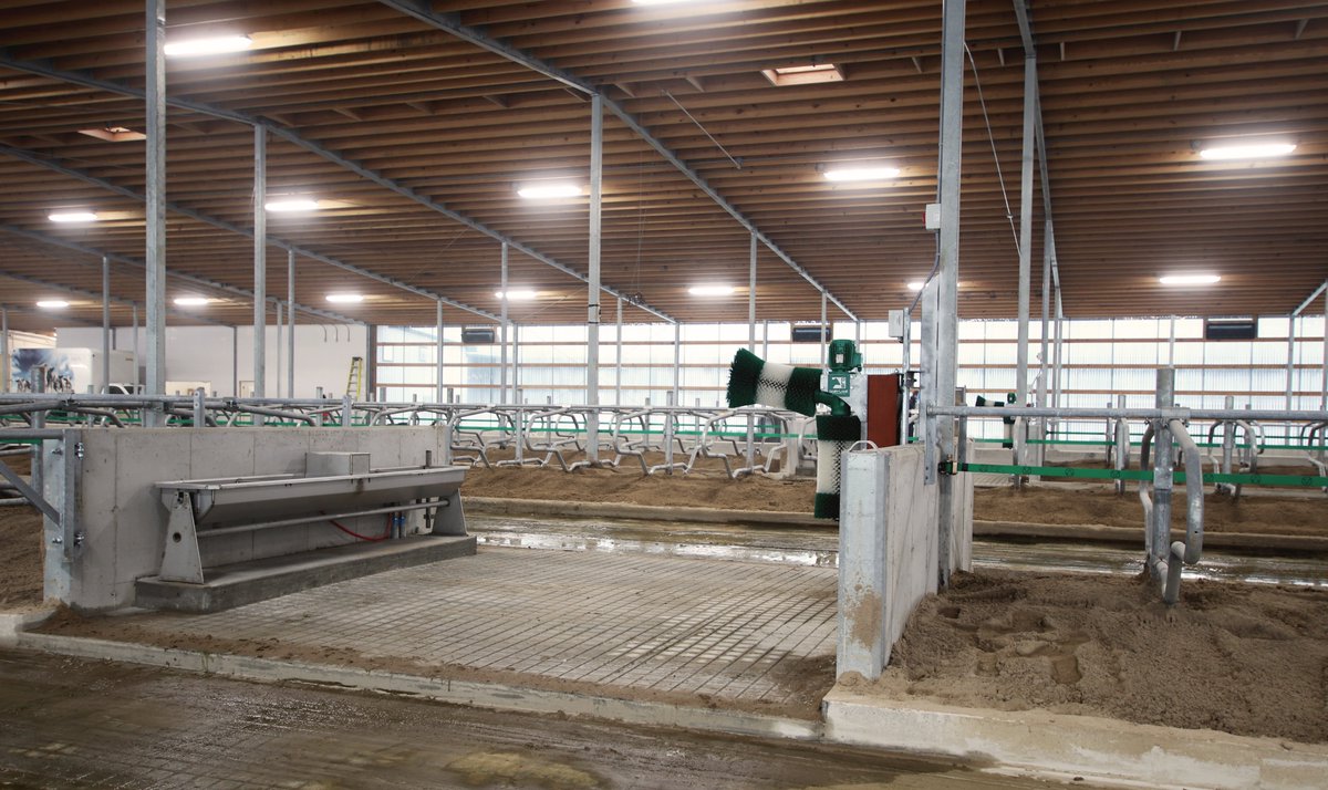 dairylanesystem's tweet photo. 2/2 - Congrats to the de Jong family at A.H.E. Dairy Farm on starting up their 5 x GEA R9500 robot project this week! 

#DLSdairy #DLSrobotics #DLSstructure #DLSJourdain #dairyfarmers #dairyfarming #dairy #agriculture #milk #cowcomfort https://t.co/4jEZsybiKH