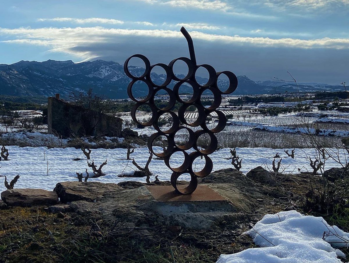 Desprès de la tempesta bé la calma.

En quina imatge us quedeu?

#cellerjosepvicens 
<a href="/doterraalta/">CRDO Terra Alta</a> <a href="/Carlos7alella/">Carlos Aguila</a>