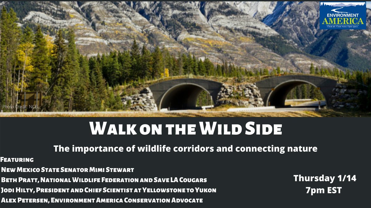 We're taking a wiiiiild walk to protect our wildlife tomorrow on #ConservationConversations.

RSVP by tonight or join our Facebook livestream 

environmentamerica.webaction.org/p/salsa/event/…