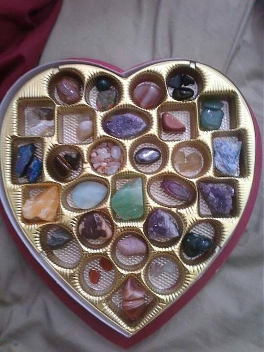tannermurphyy's tweet photo. valentines day is coming up and i cant stop thinking about these mfs https://t.co/rpiBUS3EiN