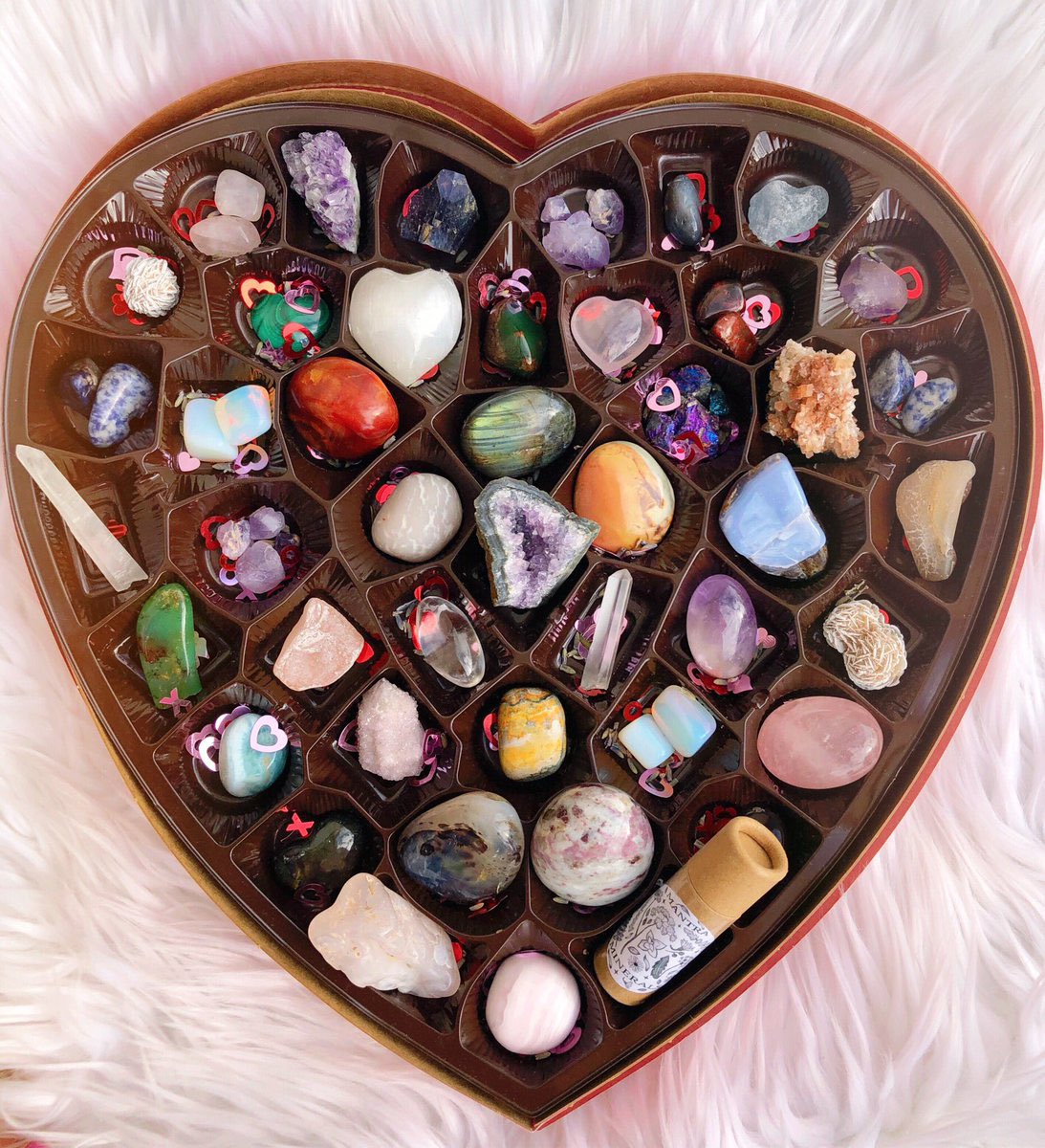 tannermurphyy's tweet photo. valentines day is coming up and i cant stop thinking about these mfs https://t.co/rpiBUS3EiN
