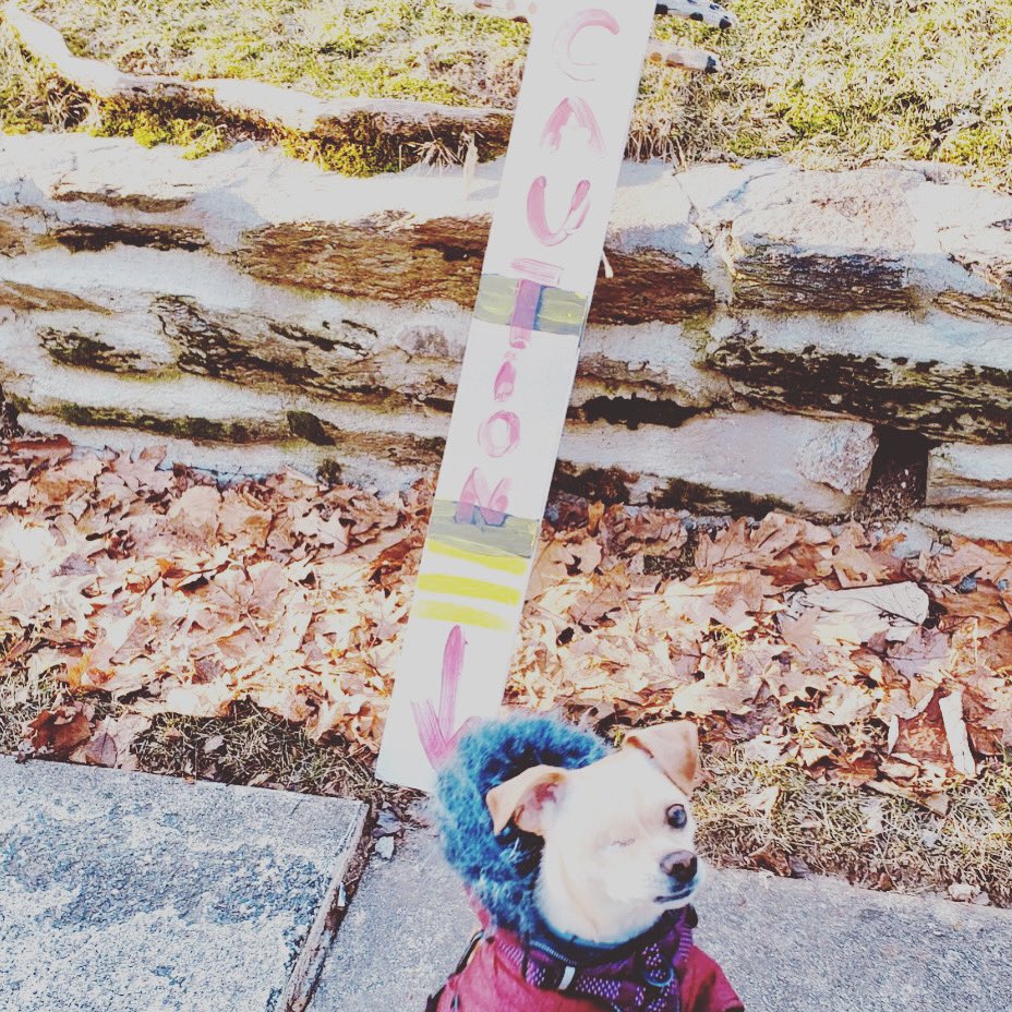 letsdevelop's tweet photo. Wellness Wednesday Mission: Challenge those who benefit from our division #hope #PeopleFirst #dogsoftwitter #commununity #mentalwellbeing #newrules #peopleoverparties #WednesdayMotivation #wellbeingwednesday #Independent https://t.co/huREzNkKdN