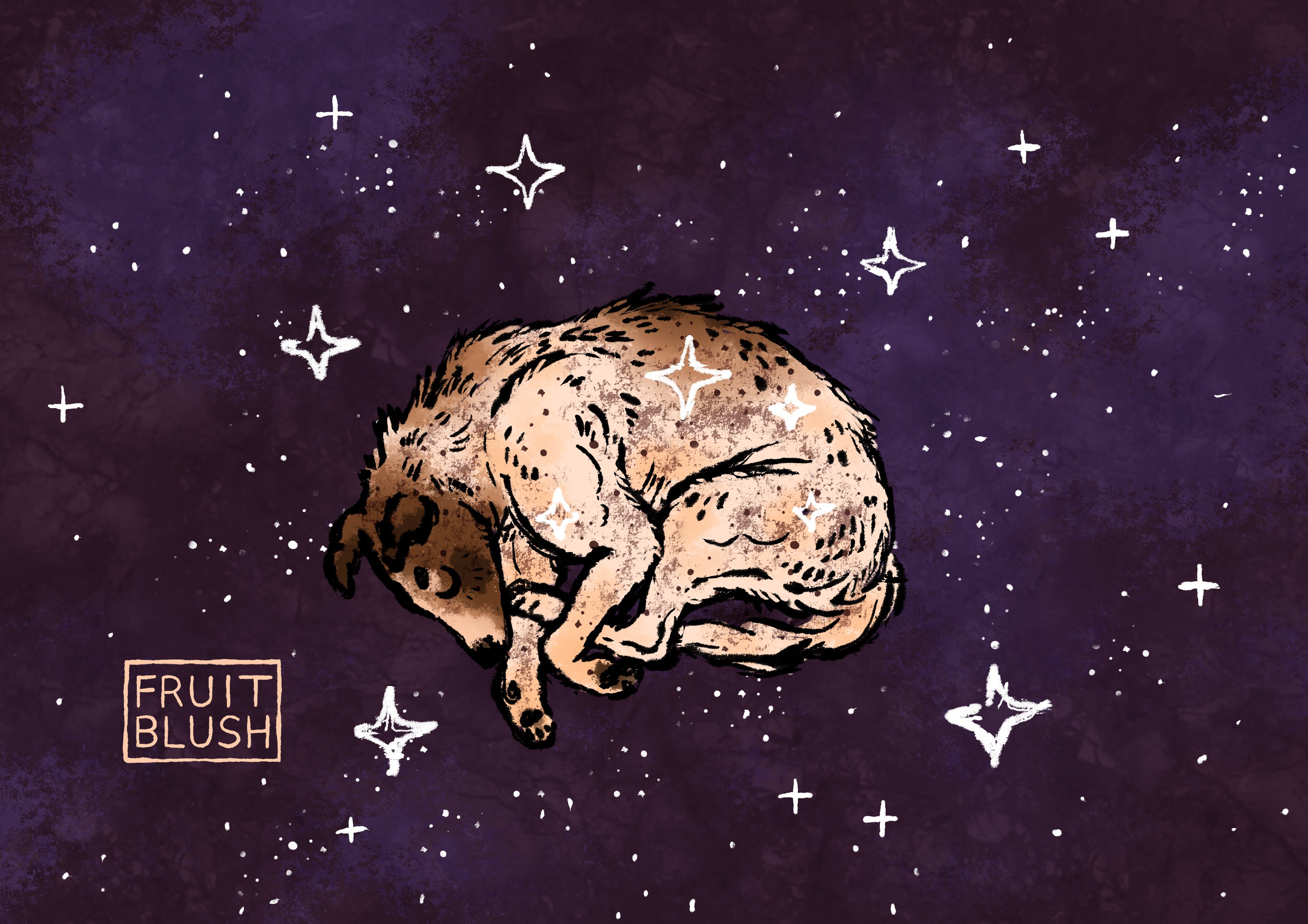 FRUITBLUSH 🐛 on X: "laika come home 💫 https://t.co/Aumu8z6uzM" / X