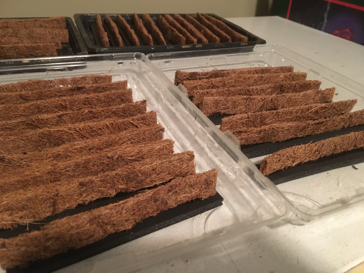 I then built hedges using hanging basket coconut husk and cut them to size. I glued them to a base of Gaterfoam, similar to Foamcore but a stiff foam. I took tweezers and pull the hedge apart to so it looked more wild. I then painted white then Soft Snow Flake.