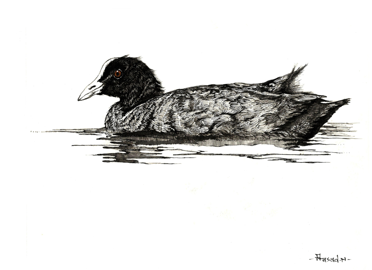 Dilip Srinivasan tweet media