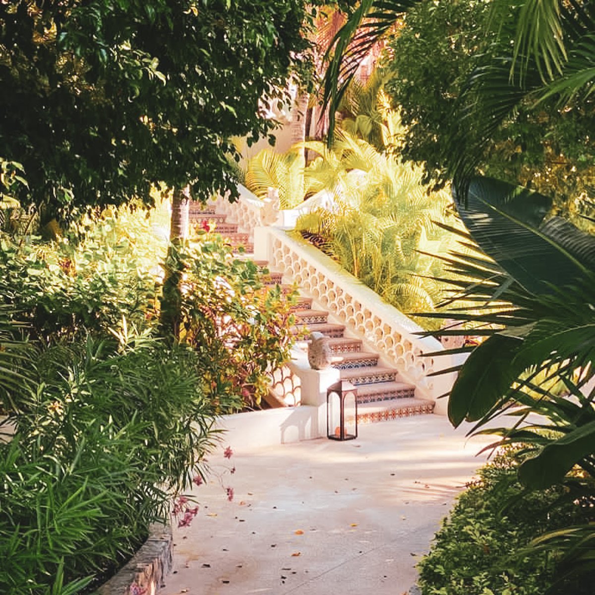 Los Cabos tweet media