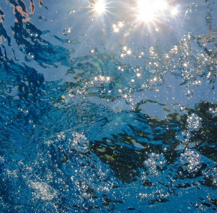 happiness: The Falconer by Dana Czapnik