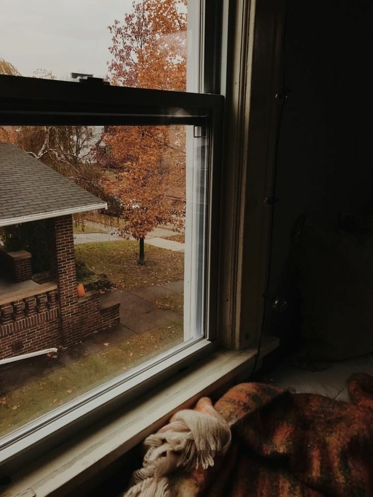 coney island: Looking for Alaska by John Green