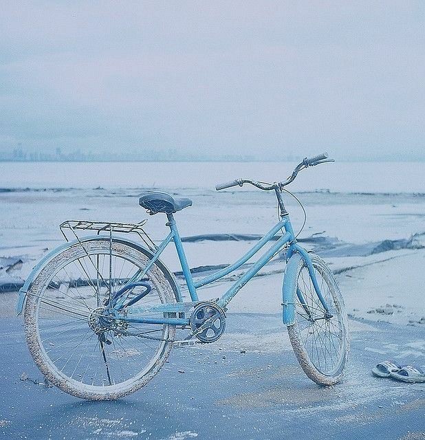 closure: The Moon and More by Sarah Dessen