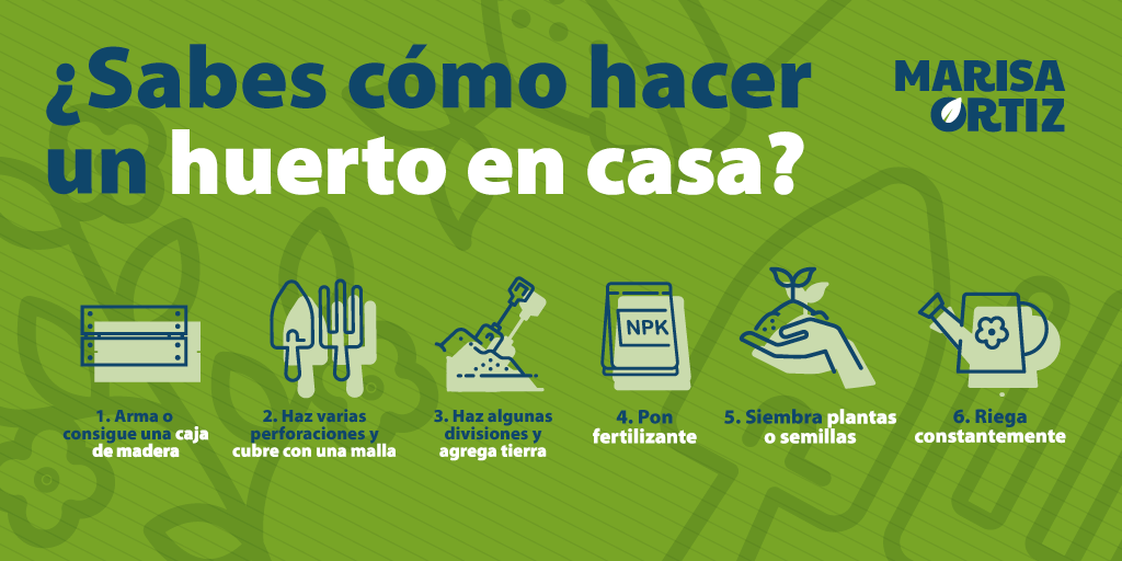 Puedes seguir estas recomendaciones para crear un huerto desde casa. ¿Te interesa?