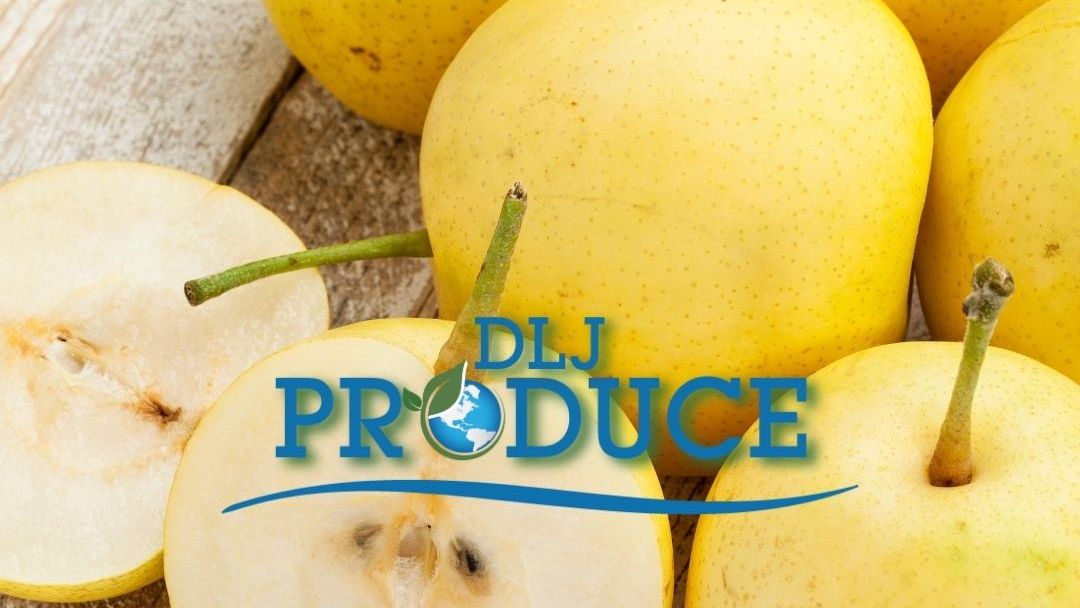 DLJProduce's tweet photo. #Asianpears, also known as #applepears or #sandpears, are a healthy treat that combine the best qualities of #apples and #pears and provide all these #healthbenefits!
https://t.co/JI1SdtkAIj https://t.co/NOrS8wd3yU