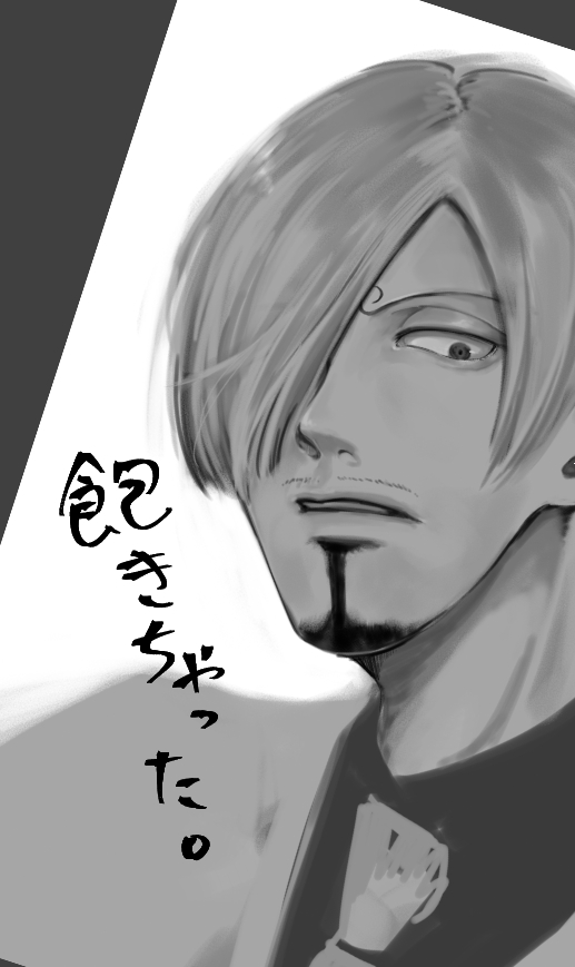 目描いたらもう他完成させる気なくなったので供養 