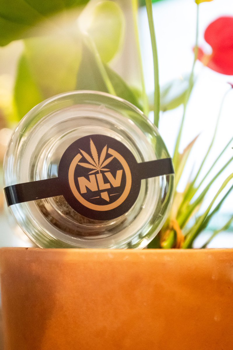 cultivate_lv's tweet photo. Pot of plants 🌱 or Pot of gold🏆? How bout both?! @NLVOrganics
#nlvo #cultivatelv #cannabis #plants #plantmom #cannabiscommunity #vegas #lasvegas #flowerone
Keep out of reach of children. For use only by adults 21 years of age or older. https://t.co/c23rOxTxNd