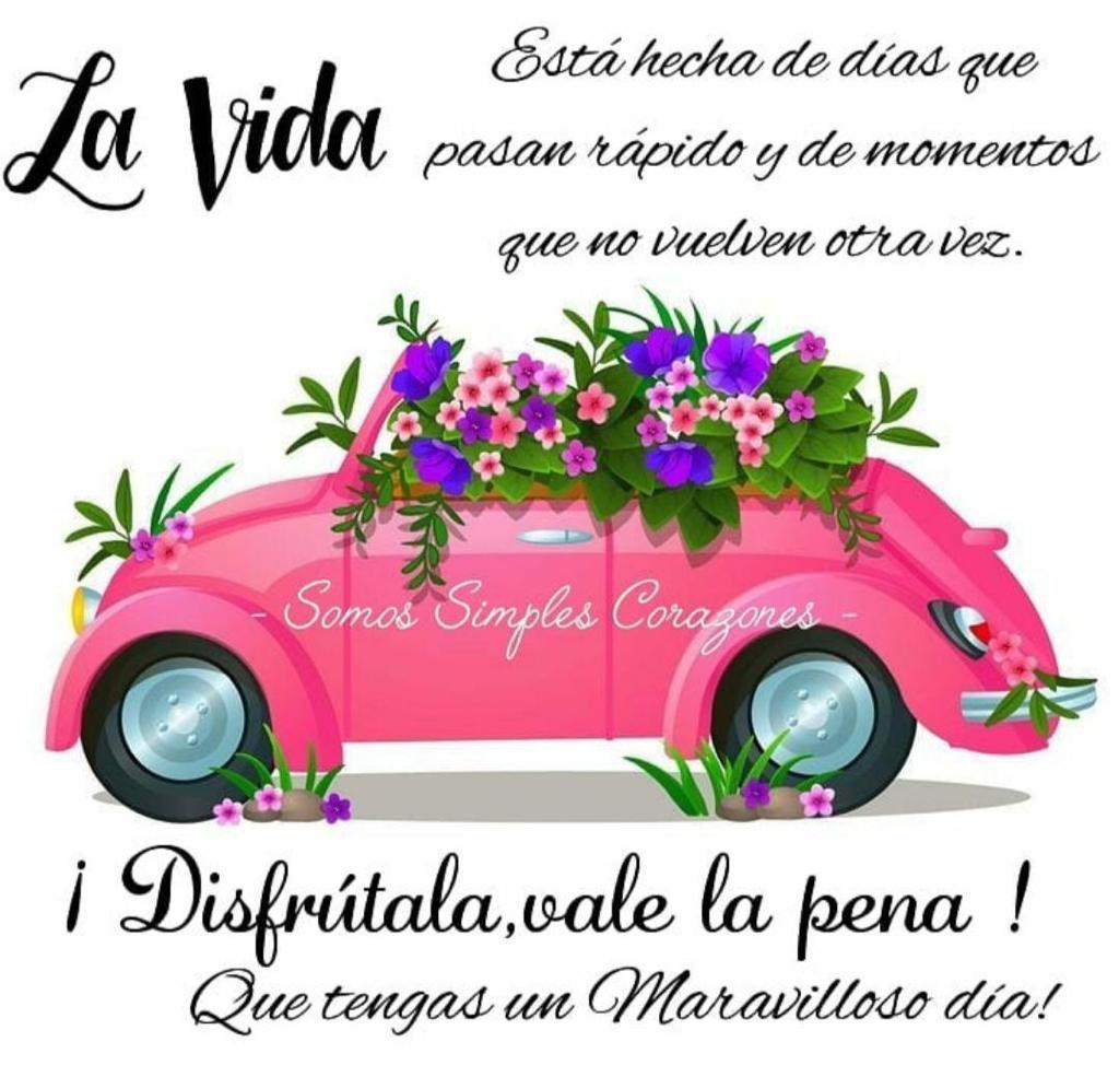 baul_angel's tweet photo. Bitácora de Bea
3/90
Tan importante es decidir ser parte de un cambio o de hacer un cambio, como asumirlo y asimilarlo.
#YoCambioEnPositivo
#2021Changes
#BDA https://t.co/Z278RuzVtK