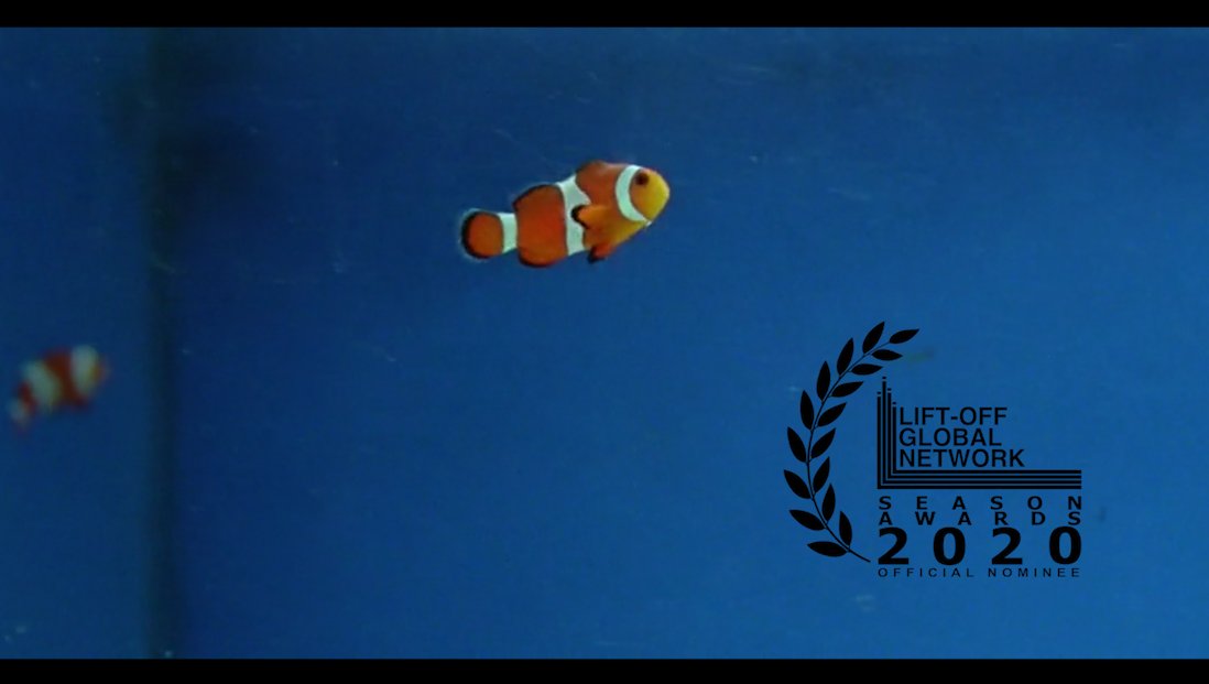 CozGreenop's tweet photo. Thrilled and honoured to announce I've been nominated for Best Director at this year's @liftoffnetwork Season Awards. I can't actually believe it. Thanks so much.
#ukfilm #liftoffnetwork #yorkshirefilm #leedsfilm #Director #film #Filmmaking #nomination #bestdirector #YORKSHIRE https://t.co/WNVCcR8pFz