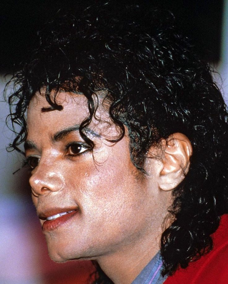 Michael influenciou uma ampla gama de assuntos, desde estudos de celebridades até cultura visual, estudos de gênero e sexualidade, e muito mais. De acordo com um estudo publicado no The Journal of Pan African Studies em 2010, sua influência se estendeu à academia+