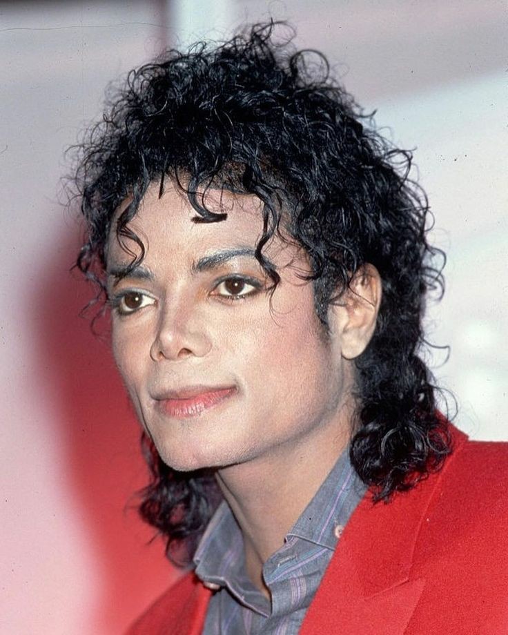 Michael influenciou uma ampla gama de assuntos, desde estudos de celebridades até cultura visual, estudos de gênero e sexualidade, e muito mais. De acordo com um estudo publicado no The Journal of Pan African Studies em 2010, sua influência se estendeu à academia+