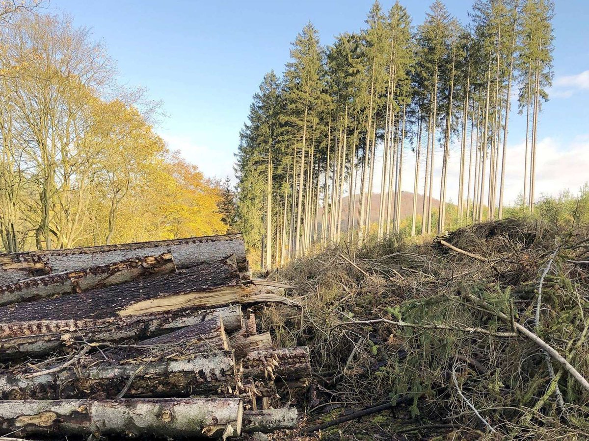 KlimalisteVB's tweet photo. (1/4) Ausblick für 2021
Sollte es 2021 zu wenig Niederschlag geben, verschärfe sich der Trockenstress der Bäume weiterhin, und die Schäden würden zunehmen – diese Befürchtungen bestehen bei allen Forstämtern.  

https://t.co/ZOyTZ81i94 https://t.co/QksunXxoIW