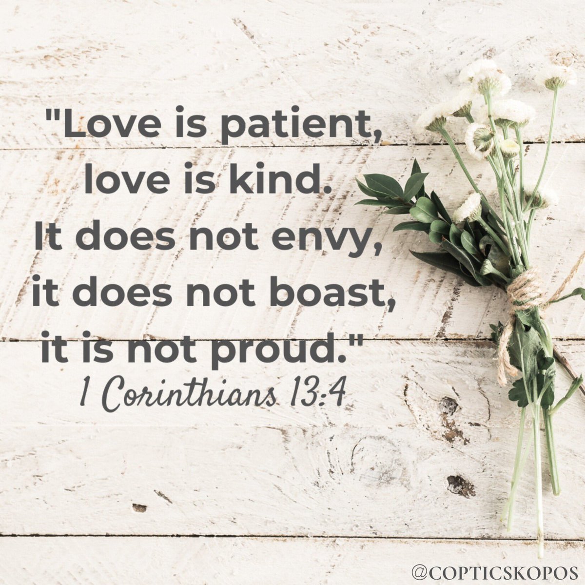 copticskopos's tweet photo. To love is to ressemble the Lord!
#copticskopos #iamcoptic #youth #copt #copticidentity #coptic #orthodox #copticorthodox #church #christian #jesus #christ #jesuschrist #god #quotes #quote #quoteoftheday #verses #verse #bible #bibleverse #verseoftheday #scripture #love https://t.co/2sGrjJEU67