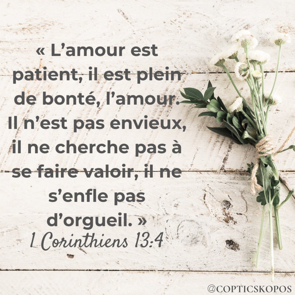 copticskopos's tweet photo. To love is to ressemble the Lord!
#copticskopos #iamcoptic #youth #copt #copticidentity #coptic #orthodox #copticorthodox #church #christian #jesus #christ #jesuschrist #god #quotes #quote #quoteoftheday #verses #verse #bible #bibleverse #verseoftheday #scripture #love https://t.co/2sGrjJEU67