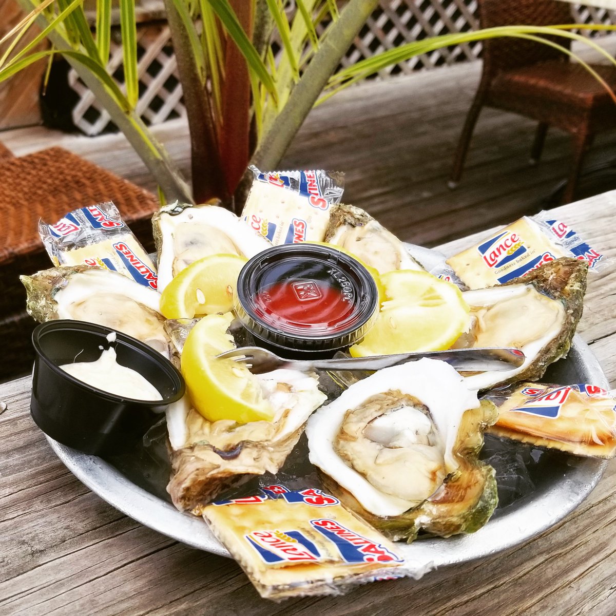 RustysInThePort's tweet photo. It's always a great day for oysters!! Raw or steamed, by the dozen or half dozen, come get your fill… at Rusty's at the Port!!👍😎🌤🌅🏖 #oysterdayisanyday #treatyourself #onthehalfshell #rustysseafood #portcanaveral https://t.co/foyuagLx8v