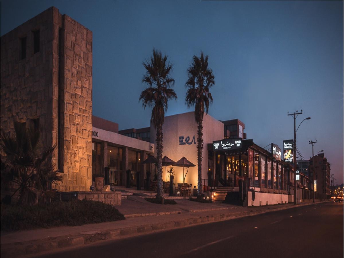 travelnot's tweet photo. Hotel Club La Serena😀
https://t.co/RMv7S8Xvkf👍
*
#chile #laserena #visitchile #mp_travelnoticias #travel #mp_traveldestination #explore #mp_chile #traveladdict #repost #travels #nature #traveler #photography #traveling #vacation #travelblog #travelpic #traveldeeper #adventure✴️ https://t.co/EdF8k0GOMP