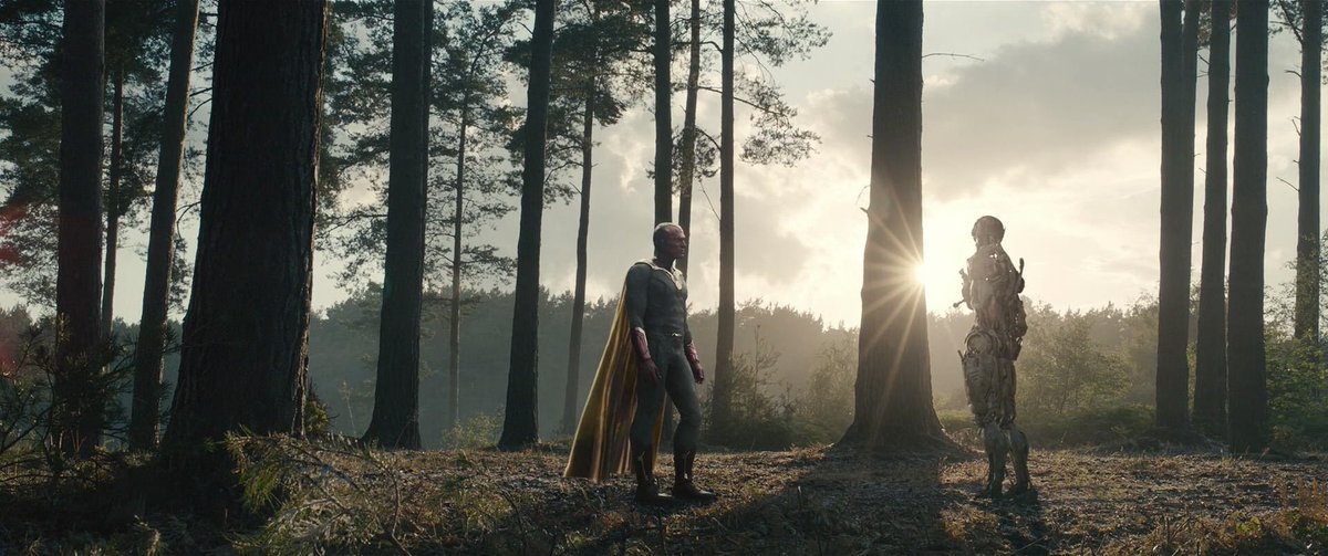 8. Avengers: Age of UltronThere's something soulful about Age of Ultron. Whedon clearly cares about the characters. Even though it's a bombastic action movie, Joss is able to let the emotional and thematic beats carry the film.