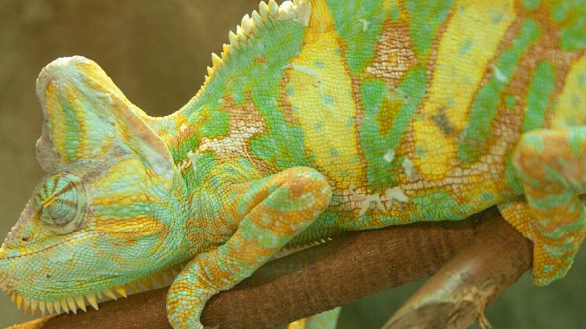 CJamesMethod's tweet image. Want to know how to enhance the impact of team collaboration in your organisation? Find out in our blog: bit.ly/3nHoRrp

#TheColinJamesMethod #leadership #business #culture #strategy #communication