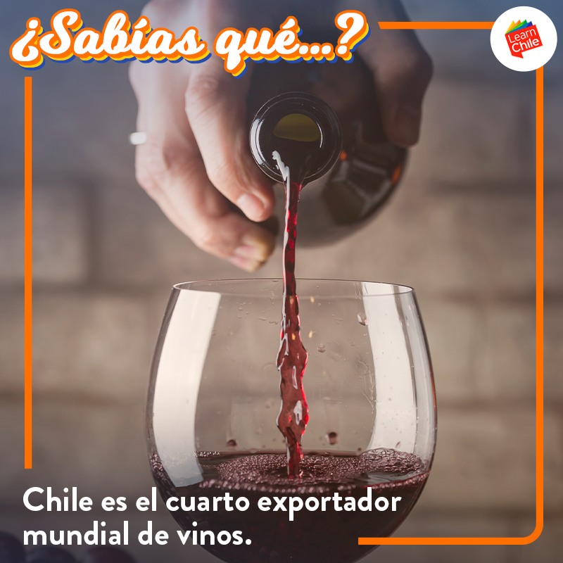 ¿Sabías qué?
Actualmente Chile es el primer exportador de vinos del nuevo mundo y cuarto exportador mundial de vinos, siendo superado sólo por países europeos de vasta trayectoria en materias vitivinícolas.