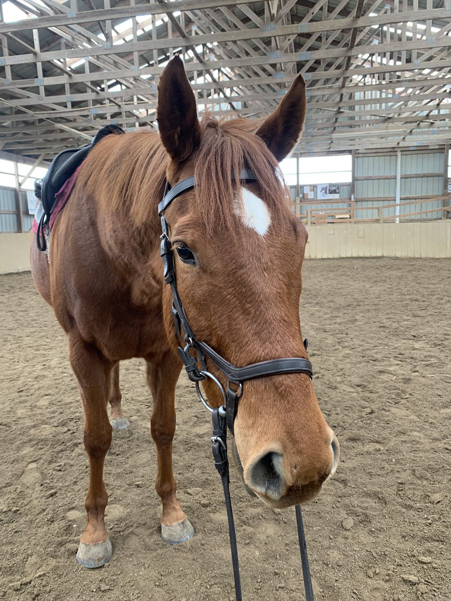 CANTER Kentucky tweet media