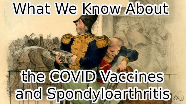 Now that the COVID vaccines are reaching widespread distribution in the United States, what do we know about how they work for spondyloarthritis sufferers?

everydaybattle.com/what-we-know-a…