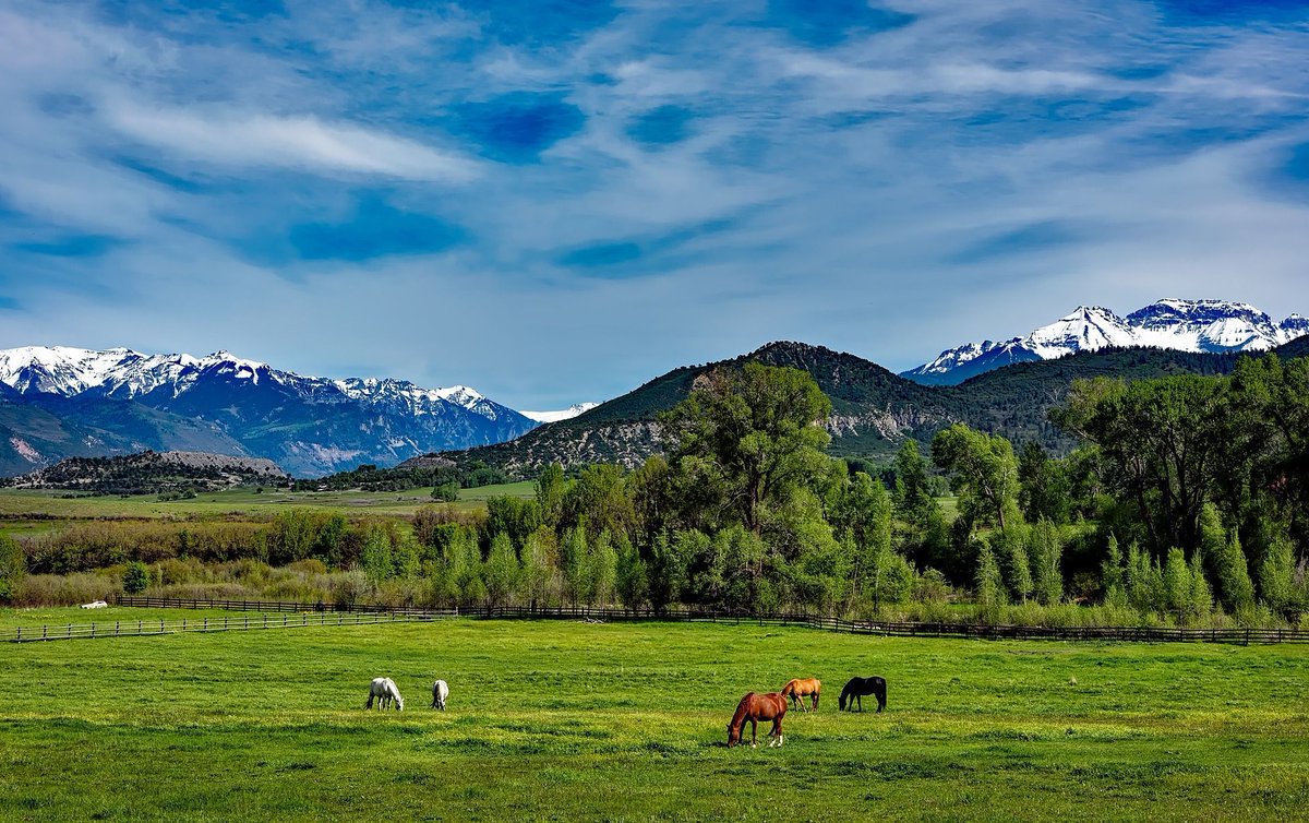 If you have a story you’re working on or are aching to tell, this trip is for you!

Our popular “Riding + Writing” retreat combines an in depth writing workshop with the all the best that Colorado has to offer!

buff.ly/3q9llrs

#damesly #wanderlust #womenwhotravel