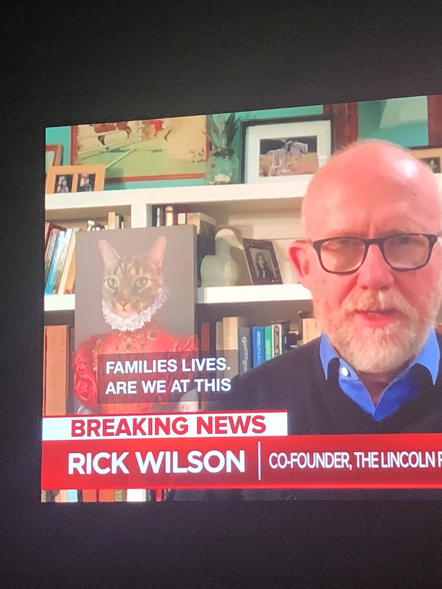 rick wilson twitter on Monicaowusubreen On Twitter Shallow Considering The Discussion But I M So Delighted By Rick Wilson S Cat Portrait