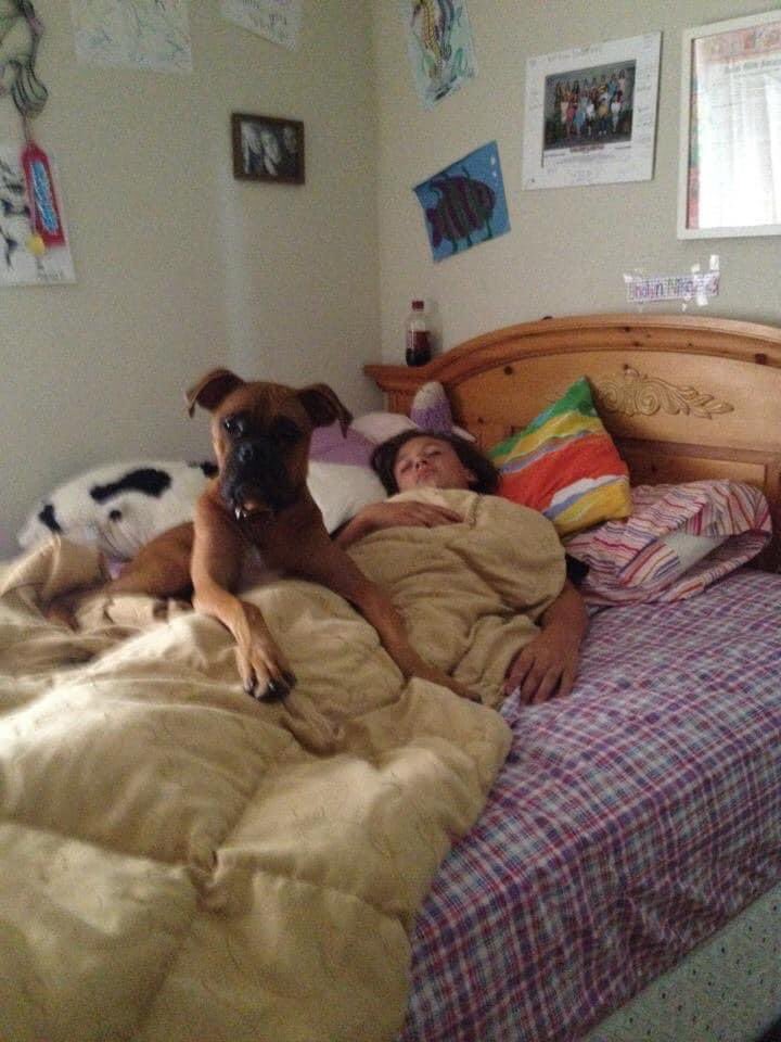 rswizzy1's tweet photo. My lil old man decided to take his big trip to the sky while I was in WA. Words can’t describe the heartache I feel, yet I was blessed with 11 years with my precious little dude. I love you so much buggie, I hope they have sweaters up there for you. https://t.co/dUGDwL2cDE