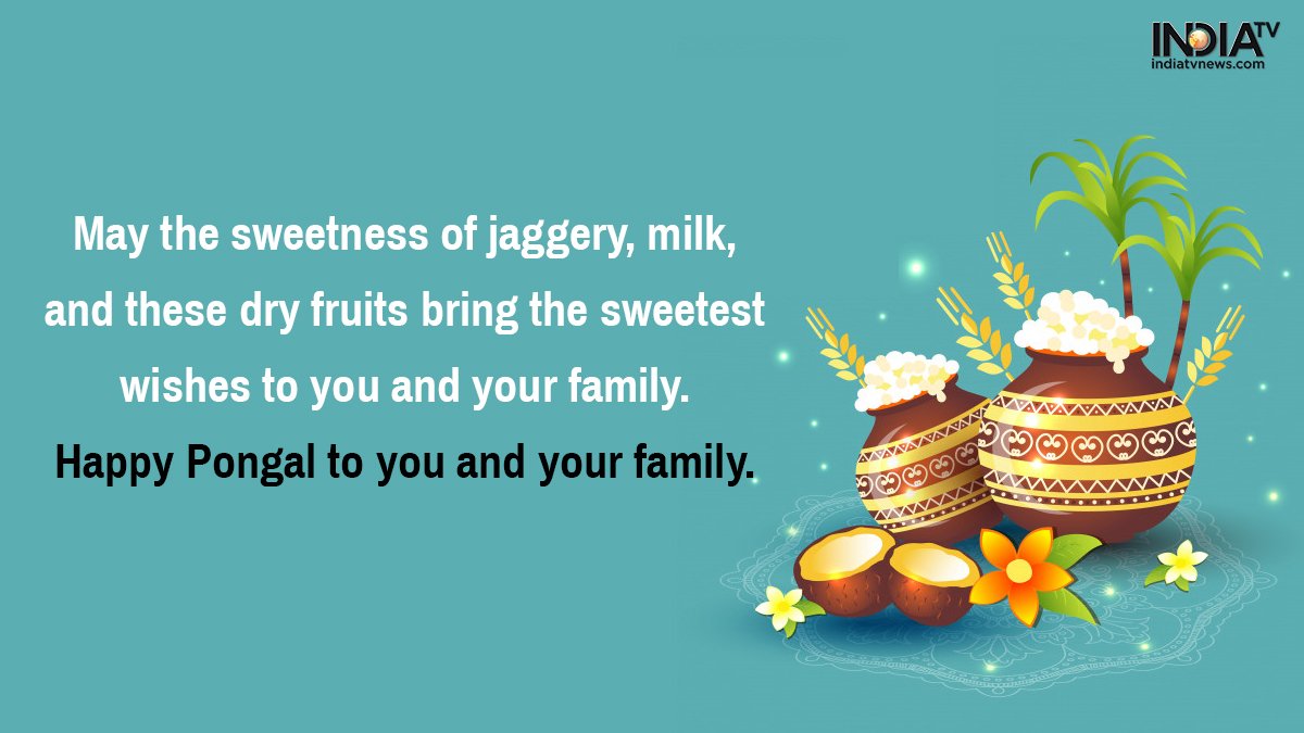 SrishankariN's tweet photo. #பொங்கல்வாழ்த்துக்கள் 
Happy Pongal... https://t.co/yMa6vaT5KD