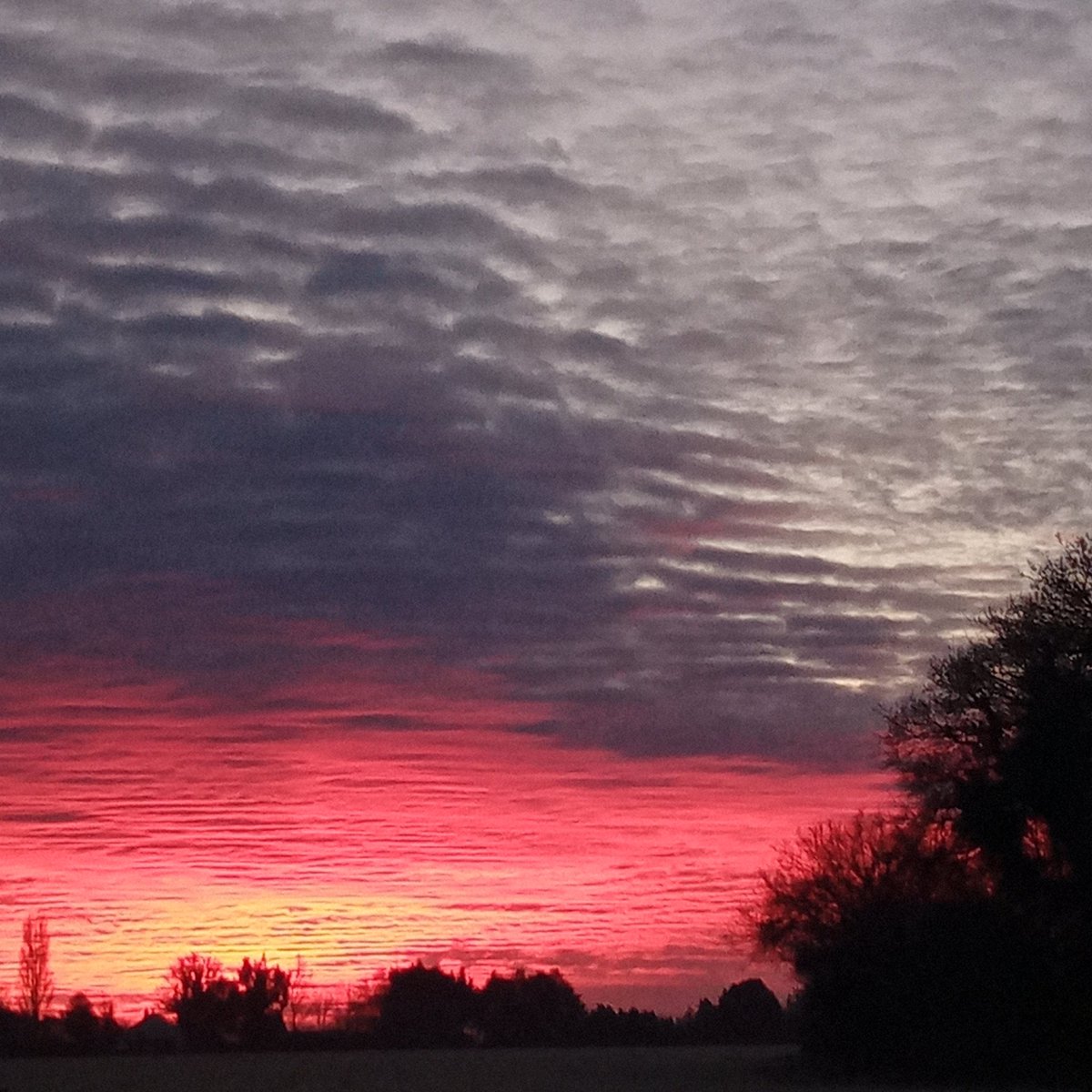 C7Macmenamin's tweet photo. @vocjam Since yer up... Norfolk sunrise from yesterday. Just cos it's "insomnia o'clock" doesn't mean you can't see nice stuff innit. https://t.co/Gp20W953Rm
