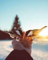 النية الطيبة لا تجلب معها إلا المفجآت الجميلة فكونوا أنقياء!!