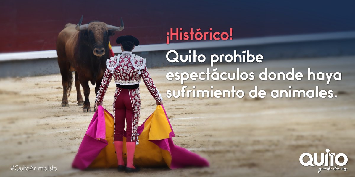 MunicipioQuito's tweet photo. En la Carita de Dios cuidamos y respetamos a los animales🐃🦬 ❤️, el único acto permitido es brindarles amor 🥰. Recuerda que están prohibidos los actos donde nuestros amigos sufran maltrato o dolor.

#QuitoAnimalista 🐾 https://t.co/MOhPSIr89r