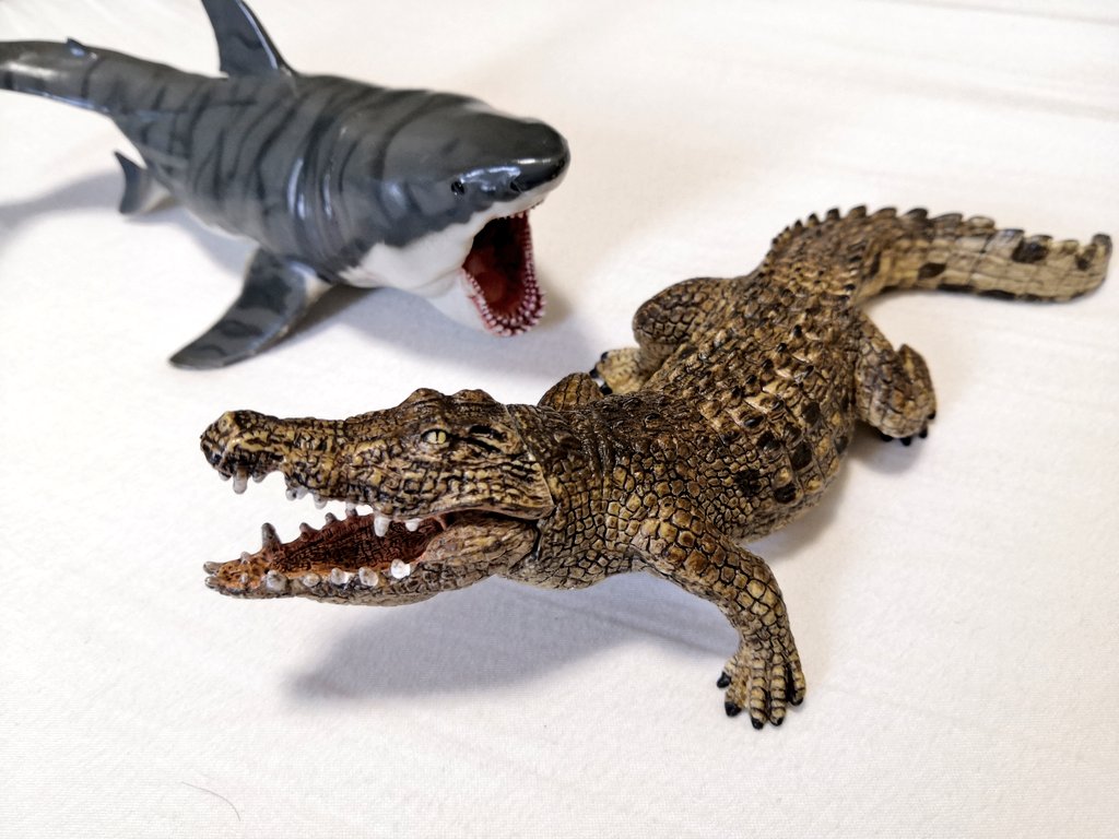 くぼけん喰滅のサメ 10 8発売 على تويتر 近々 喰滅にワニ出す予定で参考に買った 口が開く優れもの可愛い