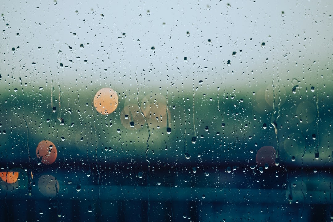 _kaesarah_'s tweet photo. "Baby, let's stay home.." lyric excerpt from my current song (wip) 

What do you like to do when it rains?

#lofi #jazz #rnb #soul #rain #wip  #newmusic #workingonmyfirstsong 

Media Source: https://t.co/ZMMkuLOJKQ
Photo by Gabriele Diwald on Unsplash https://t.co/vBVoiUOpXH