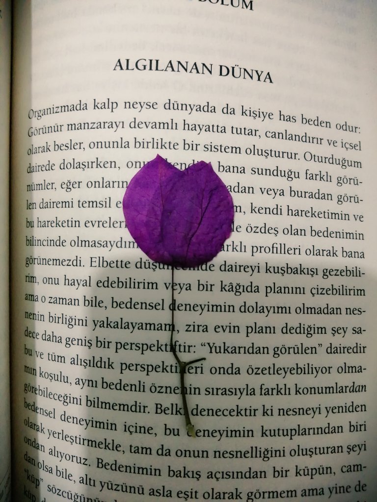 "Bu çağda yaşamak bir bilim. Buna katlanmak için gerekense, kurgu"
#kitapseverlertakiplesiyor
#KitapDostuBurdur
#kitapokuyalım