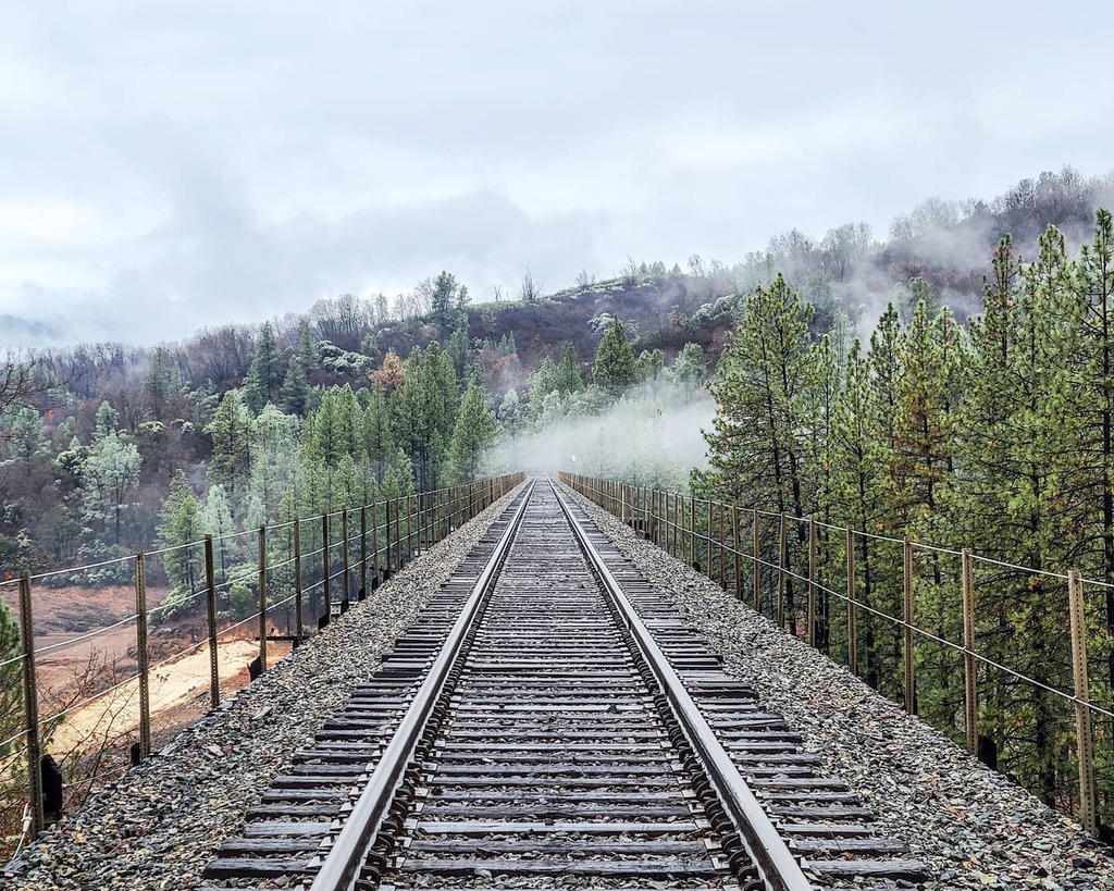 grimace_ing's tweet image. Onward.

#traintracks #trainbridge #fog #onward #landscapephotography #westcoast #perspective instagr.am/p/CJ_5gxfglgn/