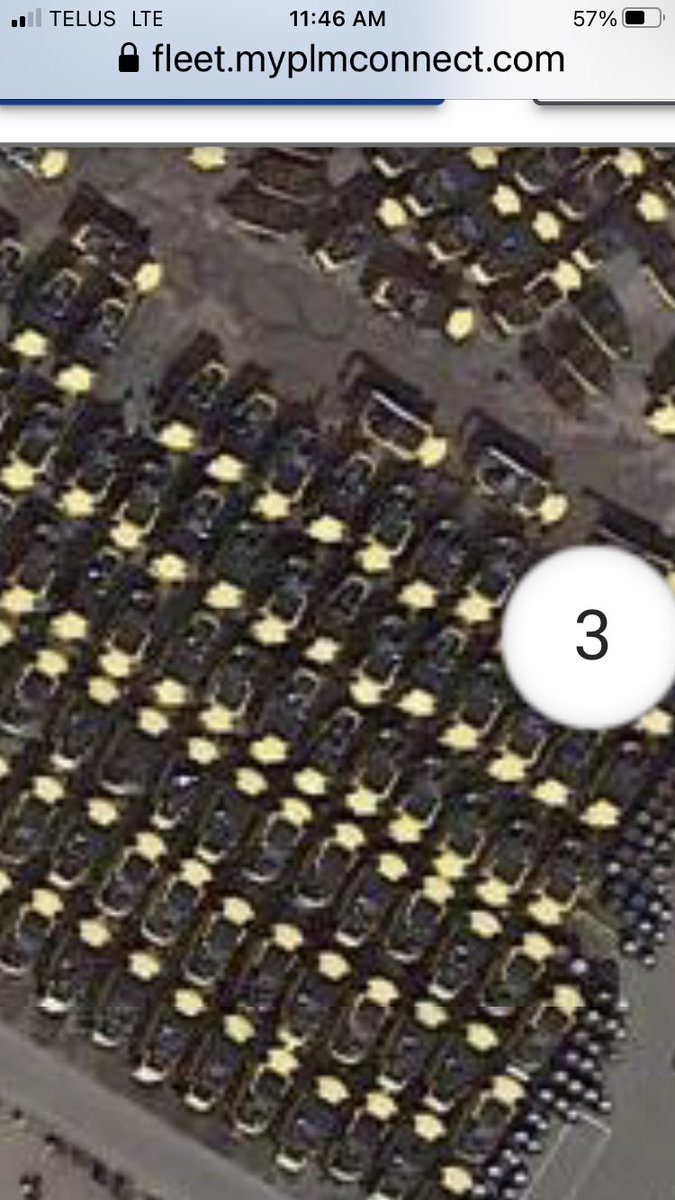 Jeff Kerfoot🧢 tweet media