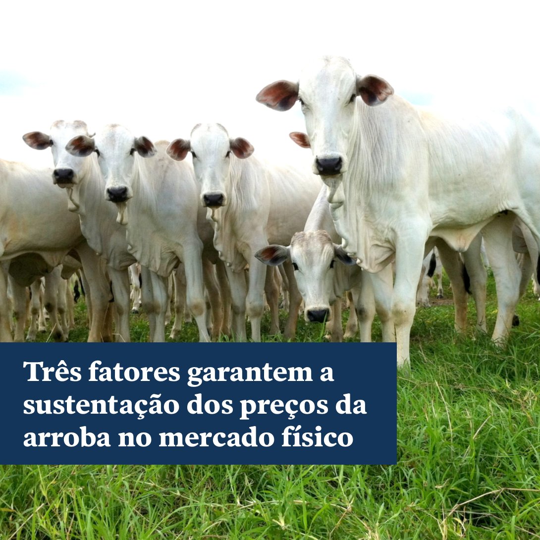 Três fatores garantem a sustentação dos preços da arroba no mercado físico https://t.co/UPGFLJYXhR https://t.co/j9Z2s7ocEW