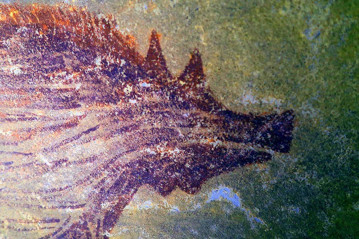New Scientist on Twitter: "World's oldest painting of animals discovered in an Indonesian cave <a href=