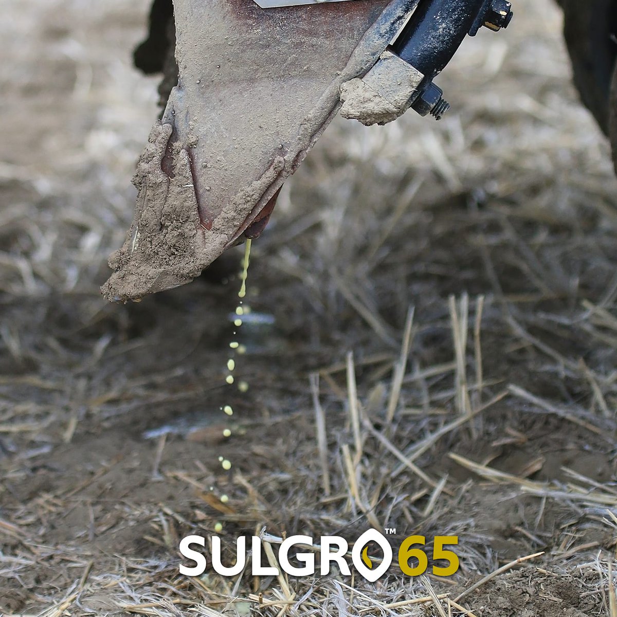 SultechGlobal's tweet image. Sulgro can be applied side band or in-furrow using conventional equipment, including over the counter nozzles &amp;amp; slotted screens. It's a non-antagonistic tank mix partner that may be applied alone or blended with other plant nutrients at variable rates #sulphur #agronomy #agdaily